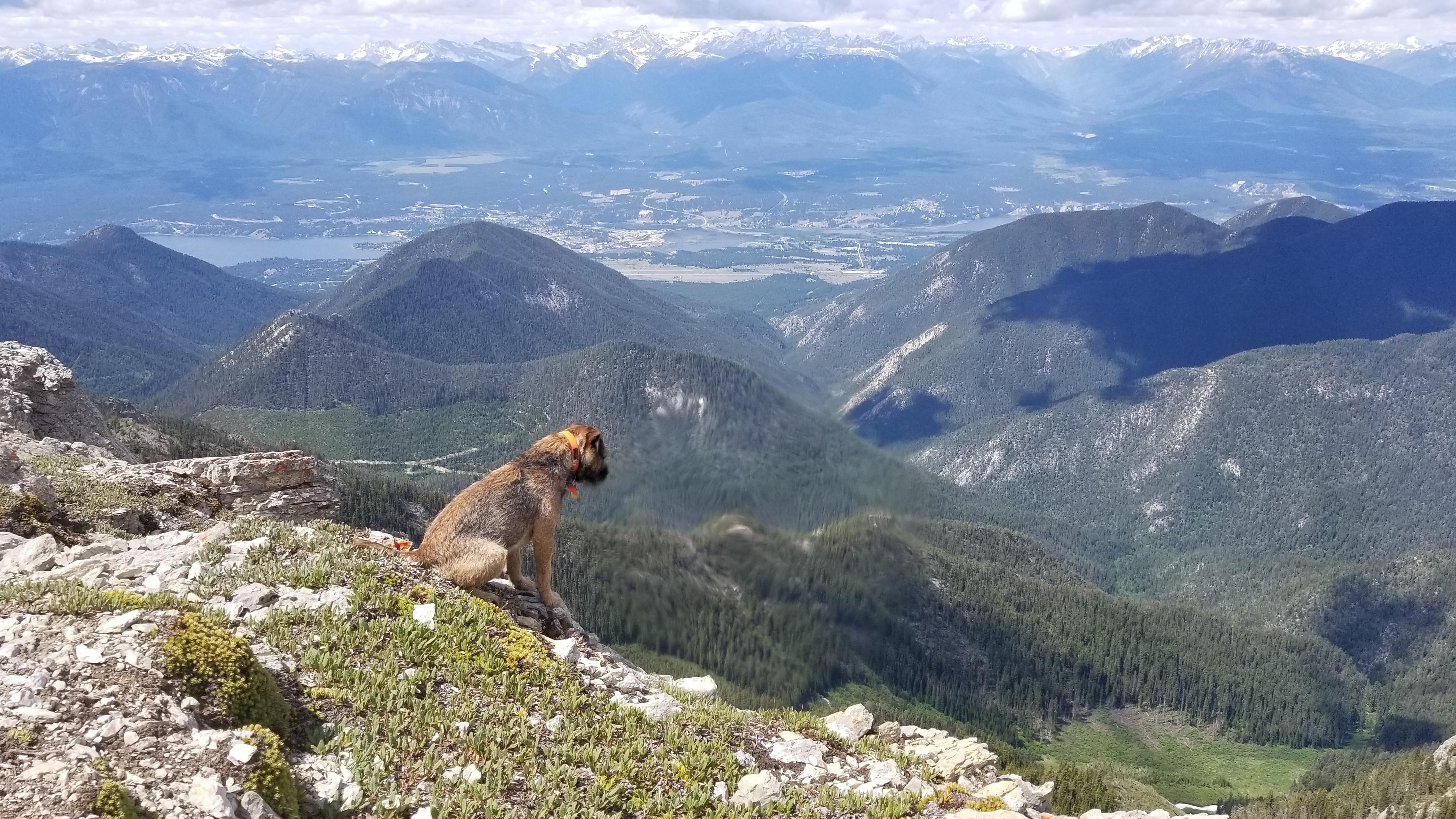 View from top towards invermere